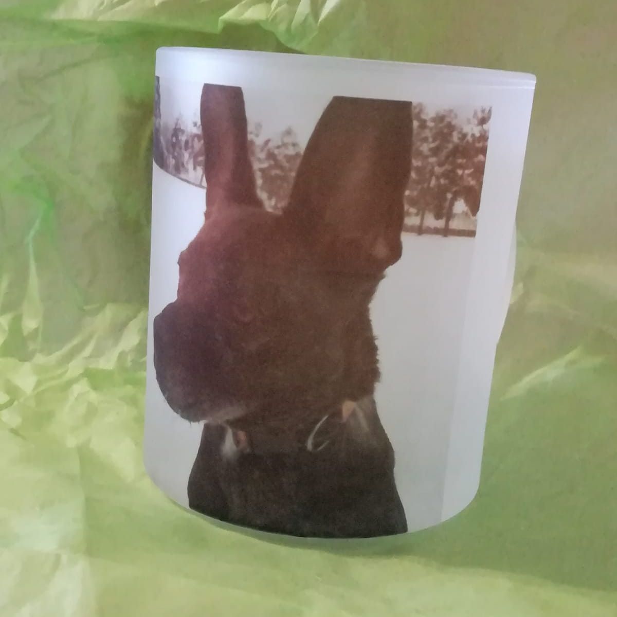 chien - mug - sublimation - personnalisation